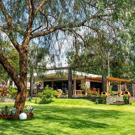 מושי Kinga Homes Boutique Hotel מראה חיצוני תמונה