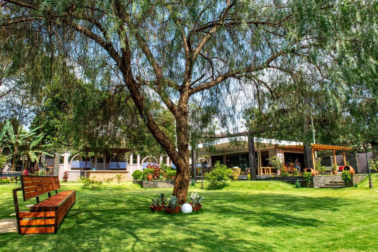 מושי Kinga Homes Boutique Hotel מראה חיצוני תמונה