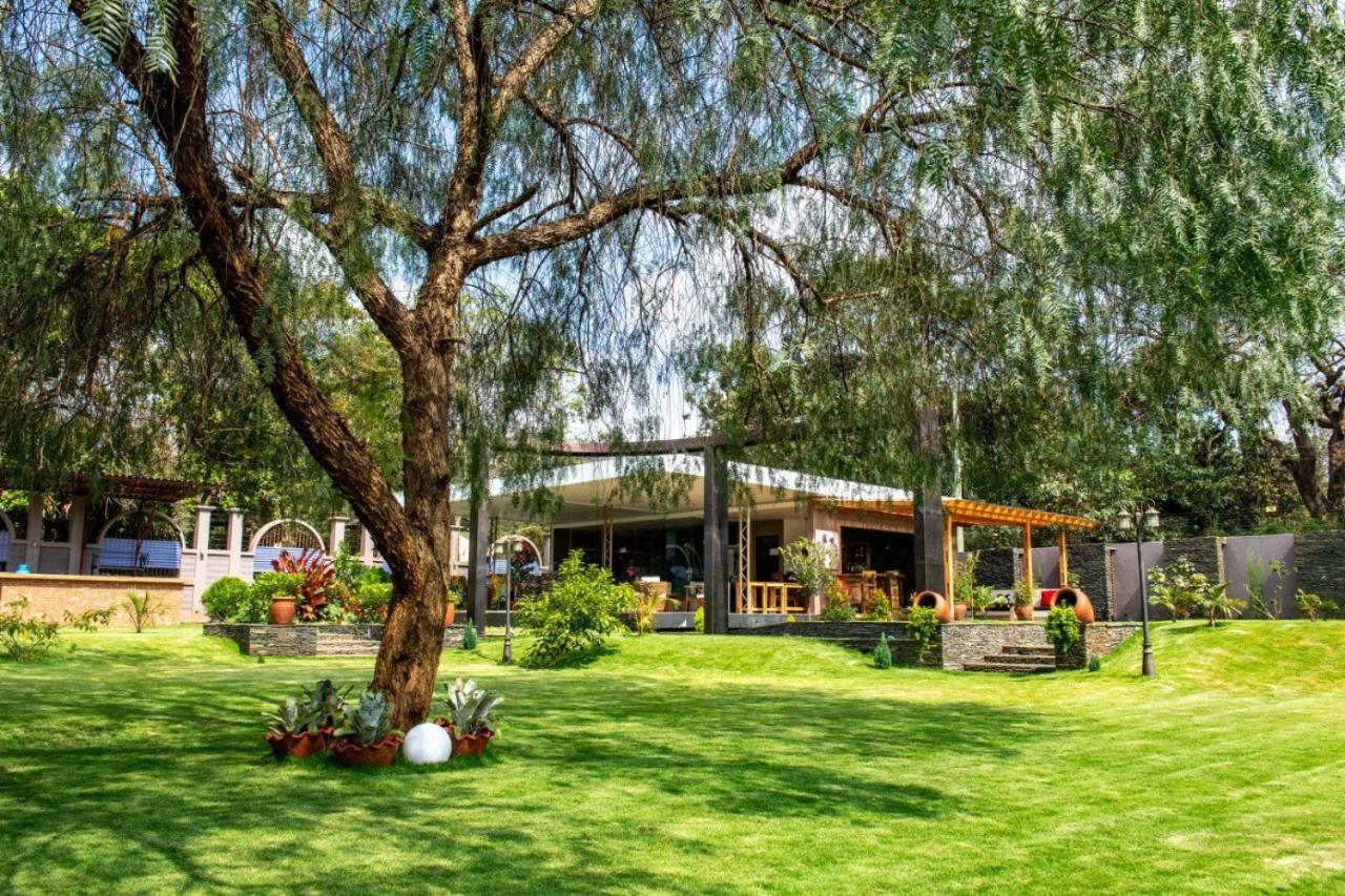 מושי Kinga Homes Boutique Hotel מראה חיצוני תמונה
